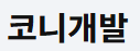 코니개발